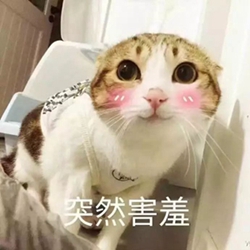 这是一件大事!