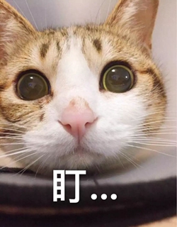 这是一件大事!