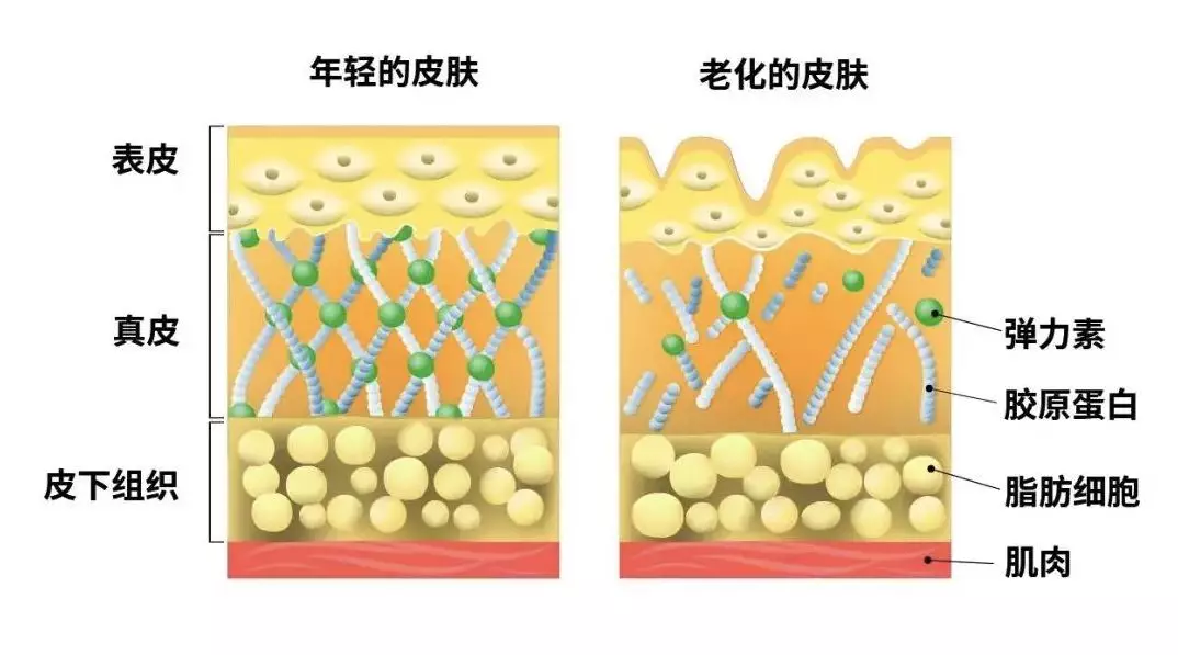 抗衰这件事,几岁做适合?